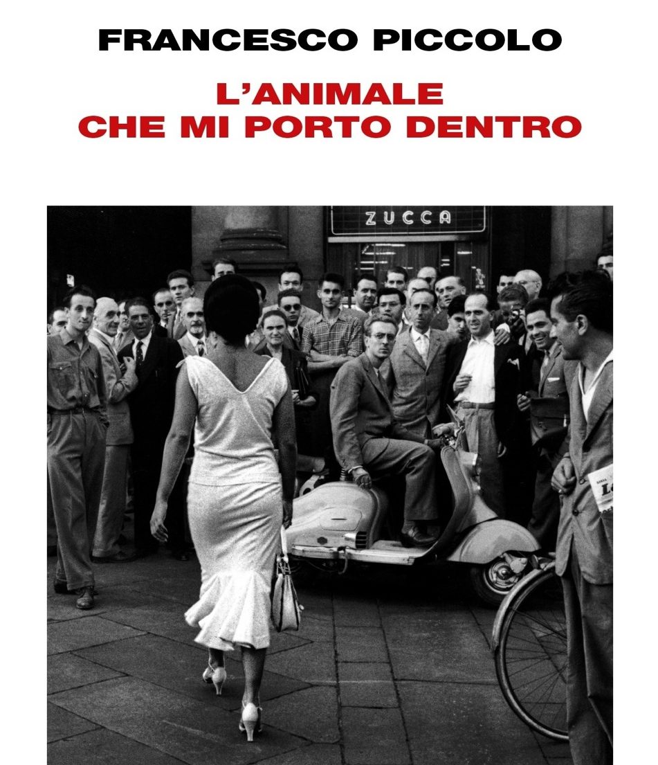 Maschi feroci in gabbia