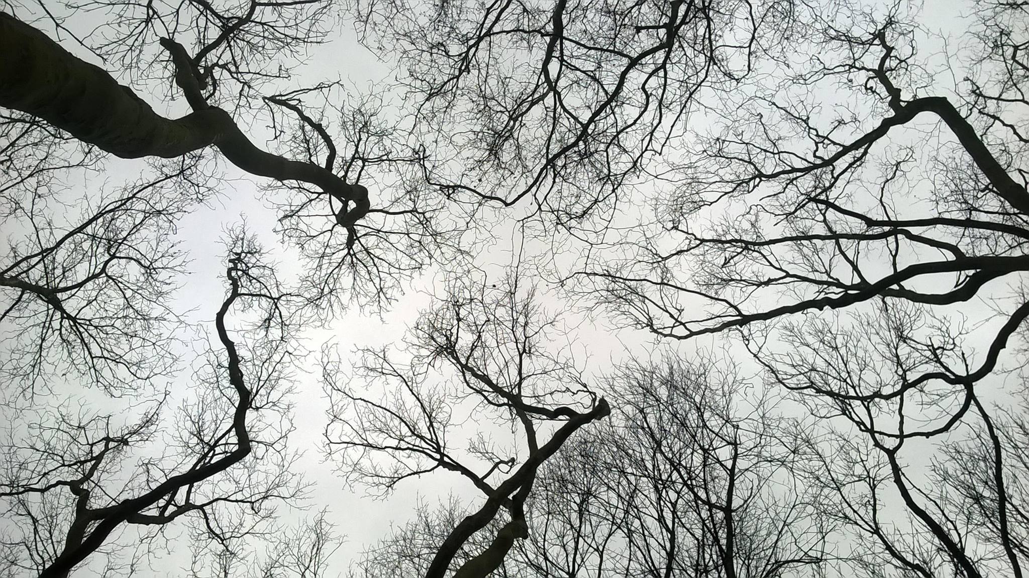 Testimonianze al tempo del virus/1  Veglia. Una città, 14 marzo, 2020